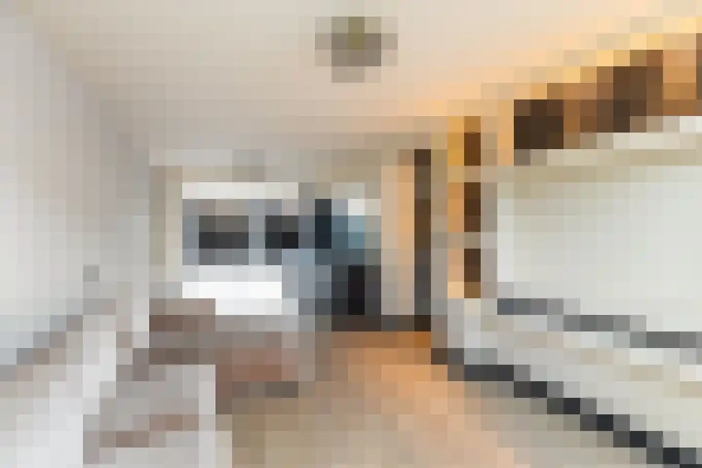 Prins Mauritssingel 6 Beesd thumbnail 8