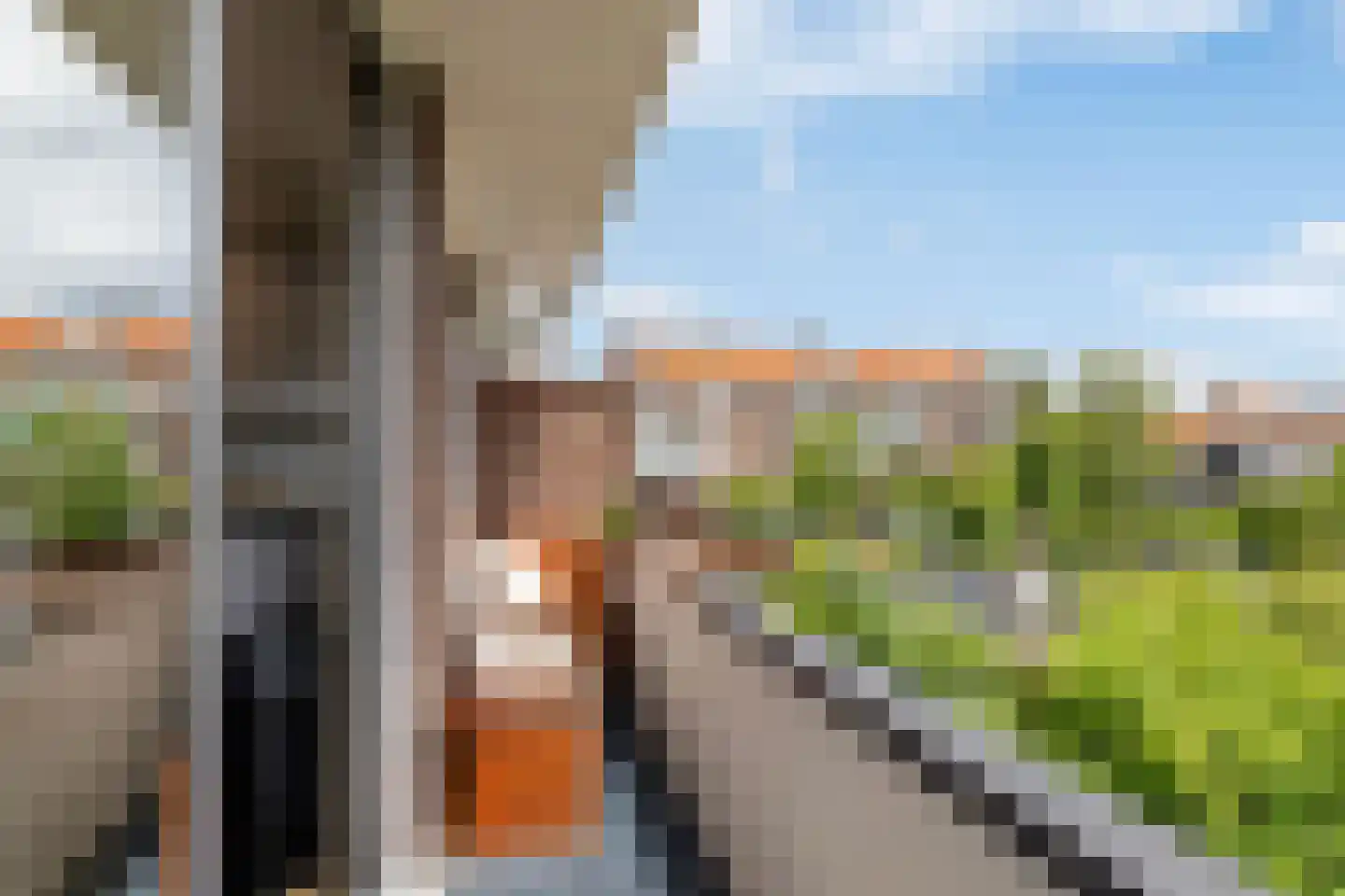 Prins Mauritssingel 62 C Rotterdam thumbnail 32