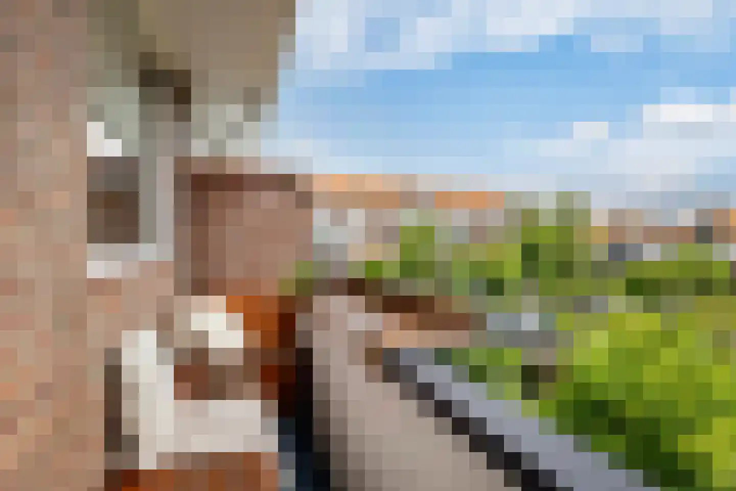 Prins Mauritssingel 62 C Rotterdam thumbnail 33