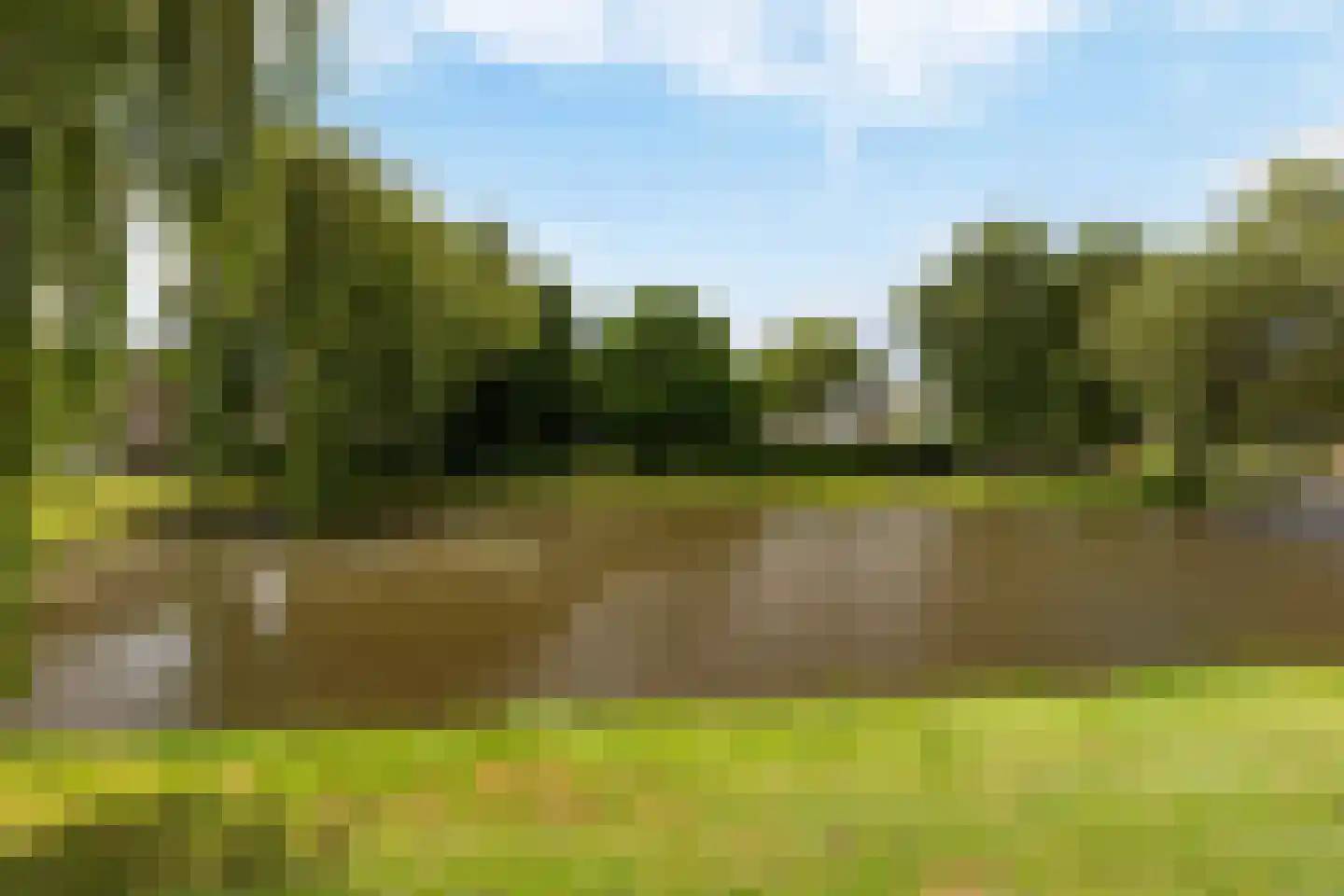 Prins Mauritssingel 62 C Rotterdam thumbnail 39