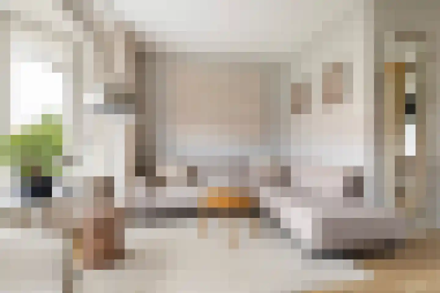 Prins Mauritssingel 62 C Rotterdam thumbnail 8
