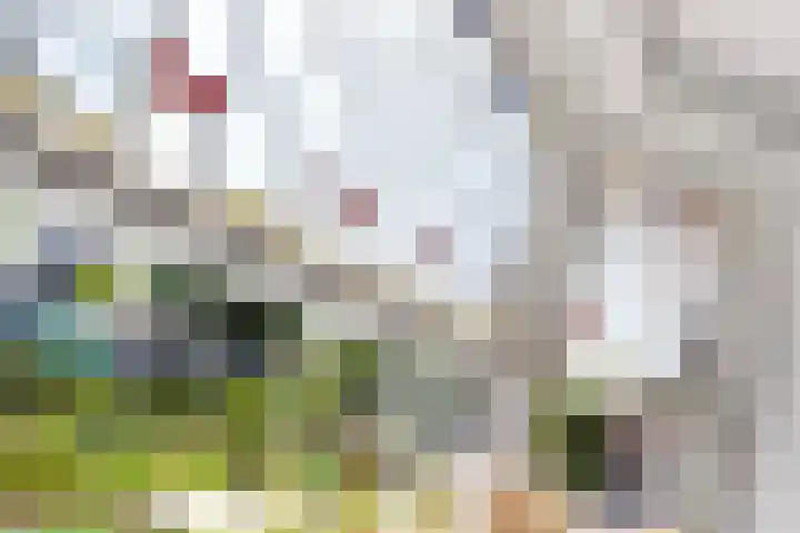 Prins Mauritssingel 7 A Rotterdam thumbnail 24