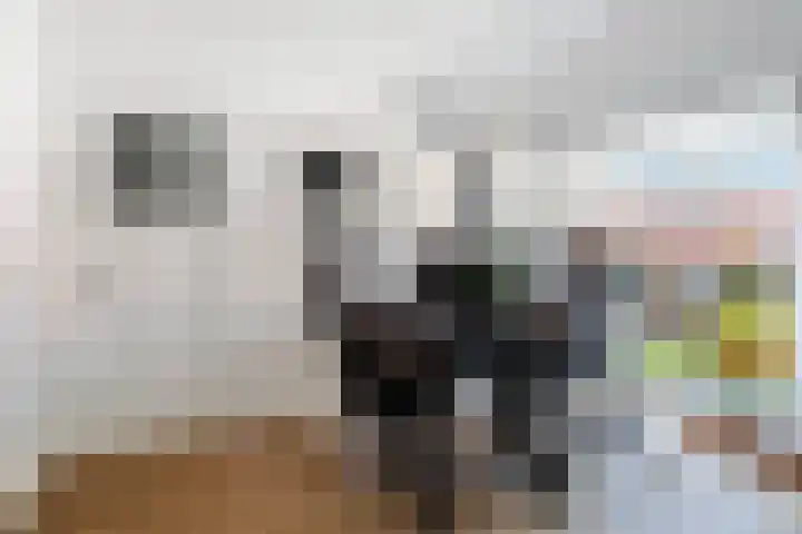 Prins Mauritssingel 7 A Rotterdam thumbnail 34