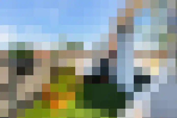 Prins Mauritssingel 7 A Rotterdam thumbnail 36