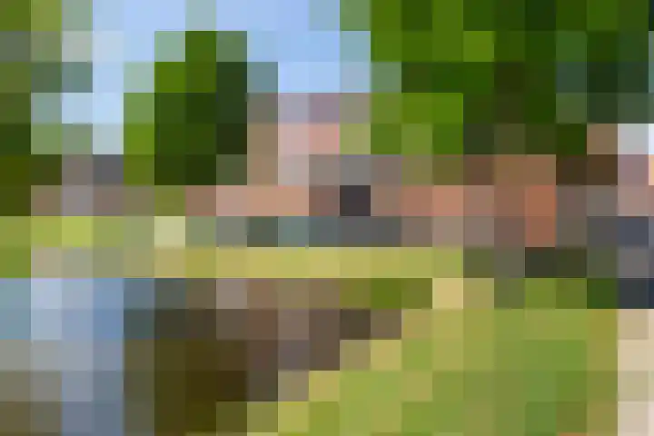 Prins Mauritssingel 7 A Rotterdam thumbnail 5