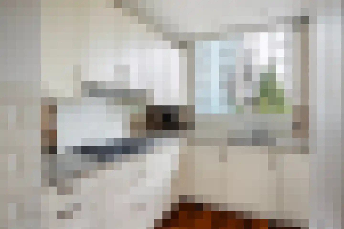 Prins Mauritssingel 81 B Rotterdam thumbnail 12