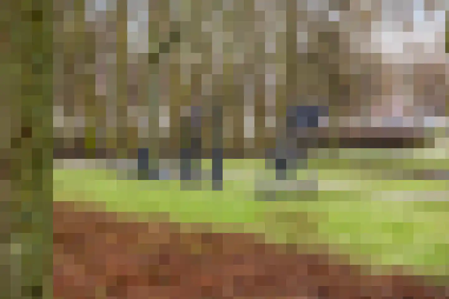 Prins Mauritssingel 81 B Rotterdam thumbnail 37