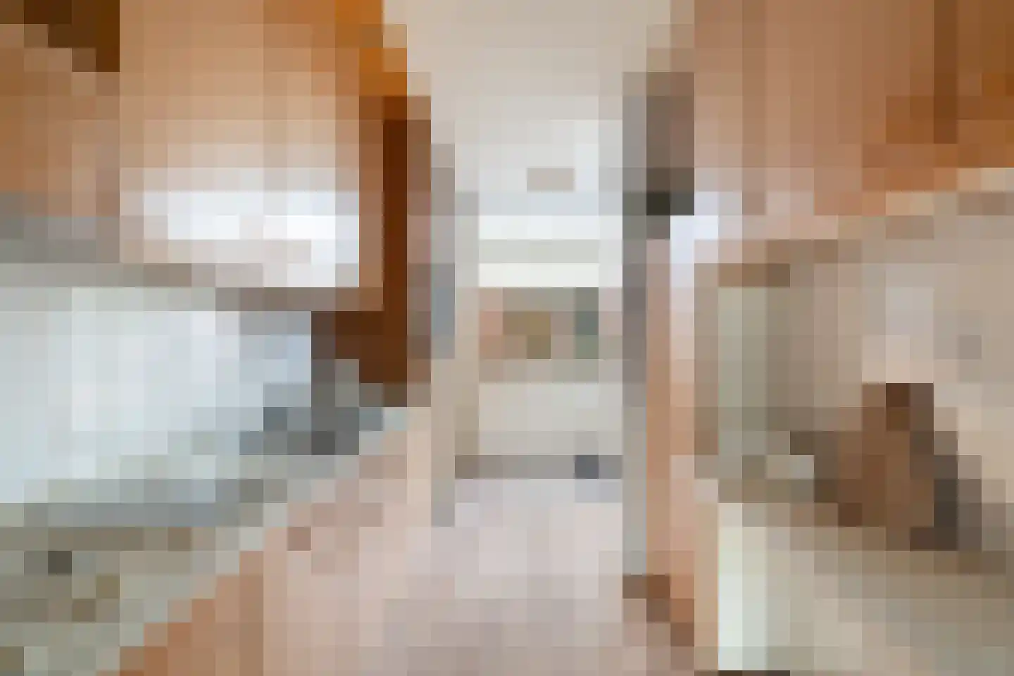 Prins Mauritsstraat 10 Maasdijk thumbnail 10
