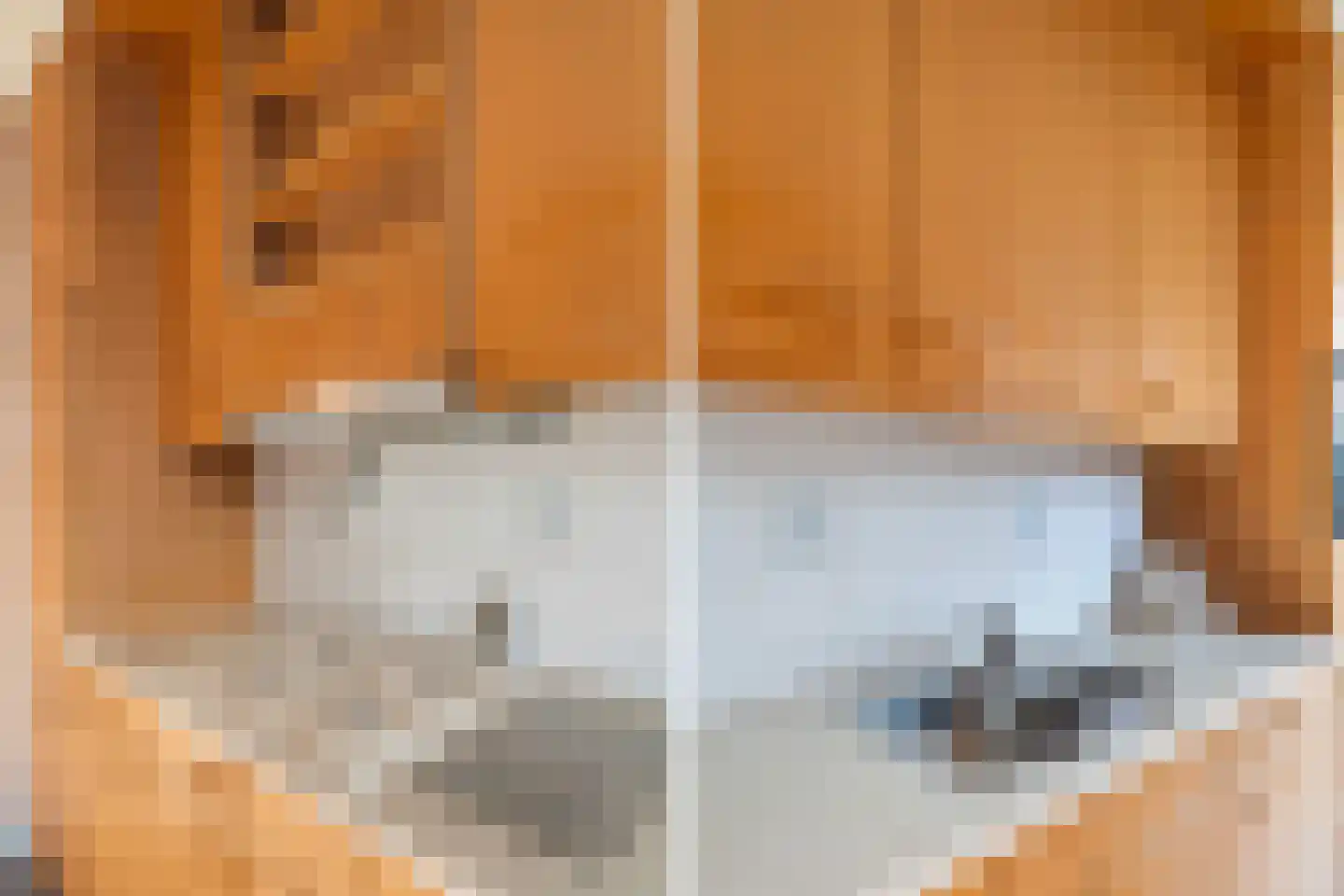 Prins Mauritsstraat 10 Maasdijk thumbnail 11