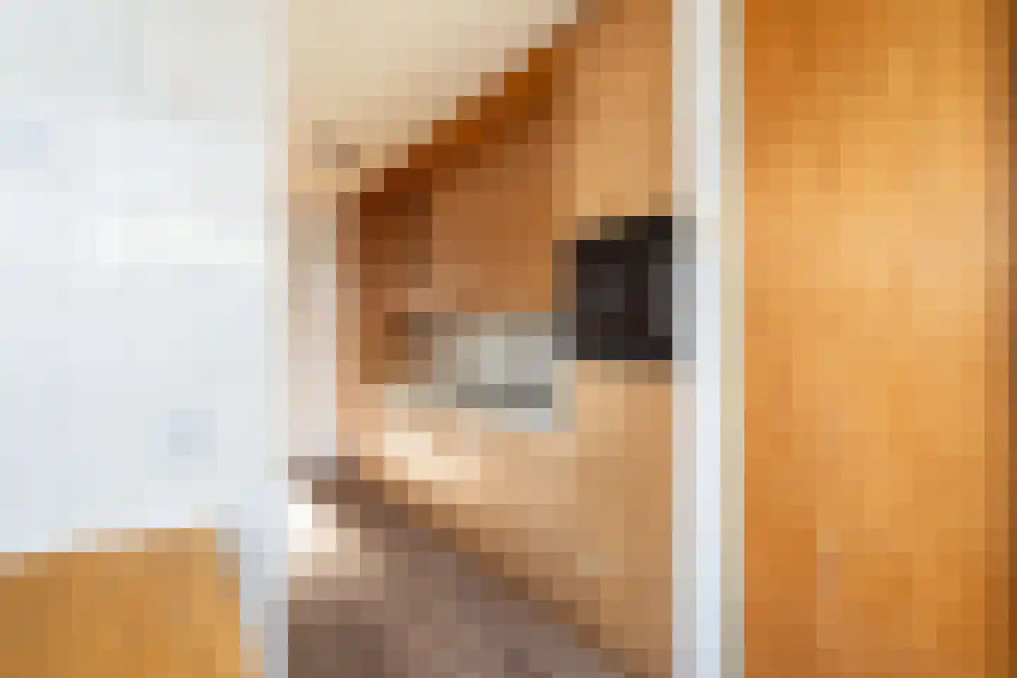 Prins Mauritsstraat 10 Maasdijk thumbnail 12