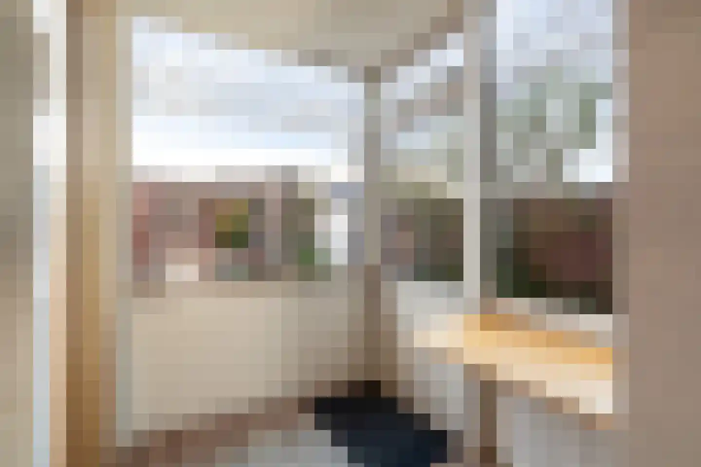 Prins Mauritsstraat 10 Maasdijk thumbnail 13