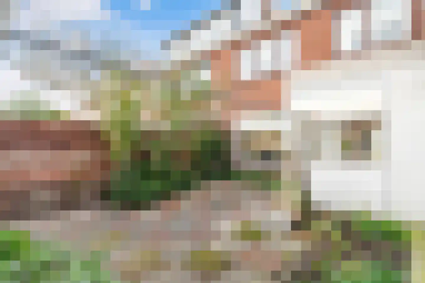 Prins Mauritsstraat 10 Maasdijk thumbnail 17
