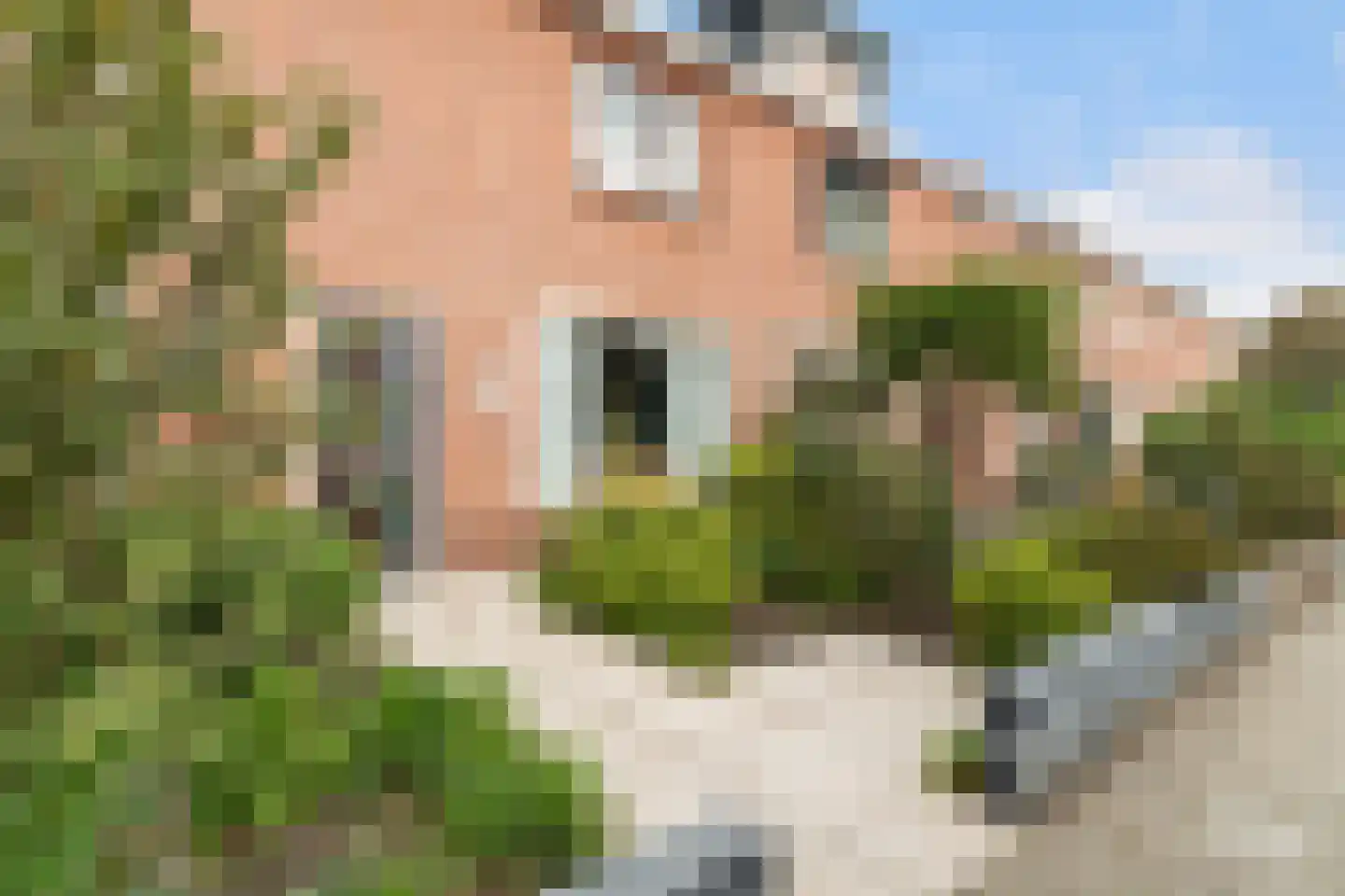 Prins Mauritsstraat 10 Maasdijk thumbnail 39