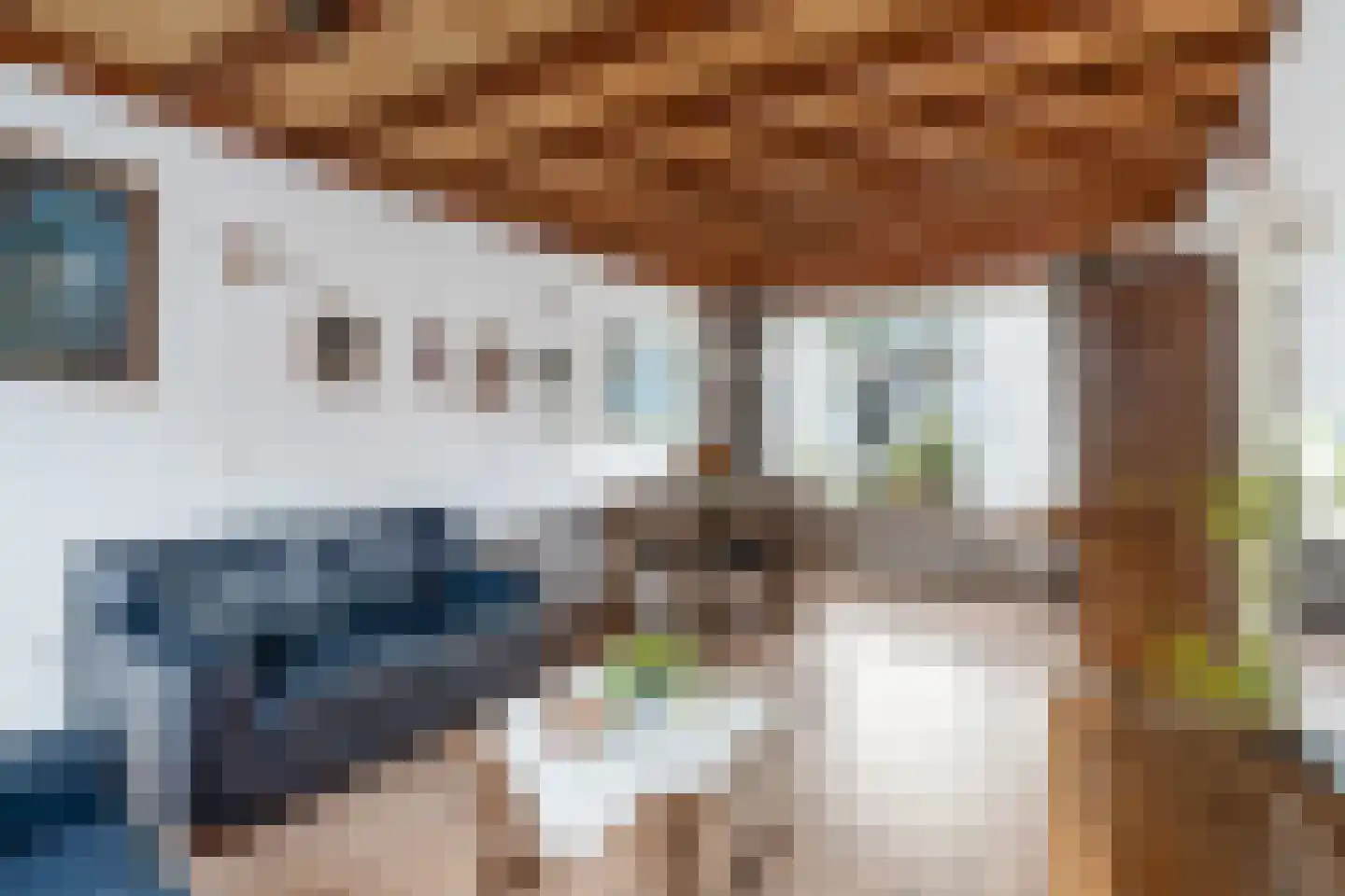 Prins Mauritsstraat 10 Maasdijk thumbnail 4