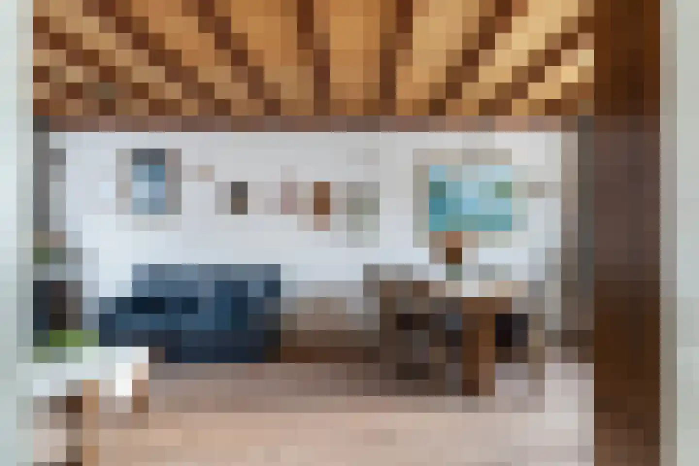 Prins Mauritsstraat 10 Maasdijk thumbnail 5