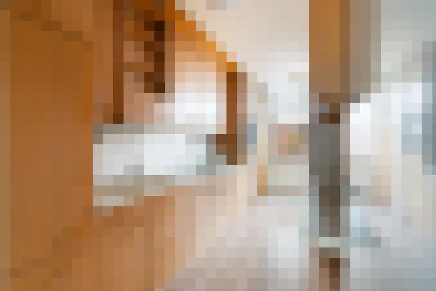 Prins Mauritsstraat 10 Maasdijk thumbnail 9