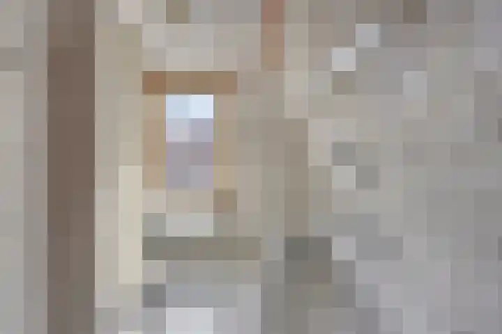 Prins Mauritsstraat 12 Axel thumbnail 15