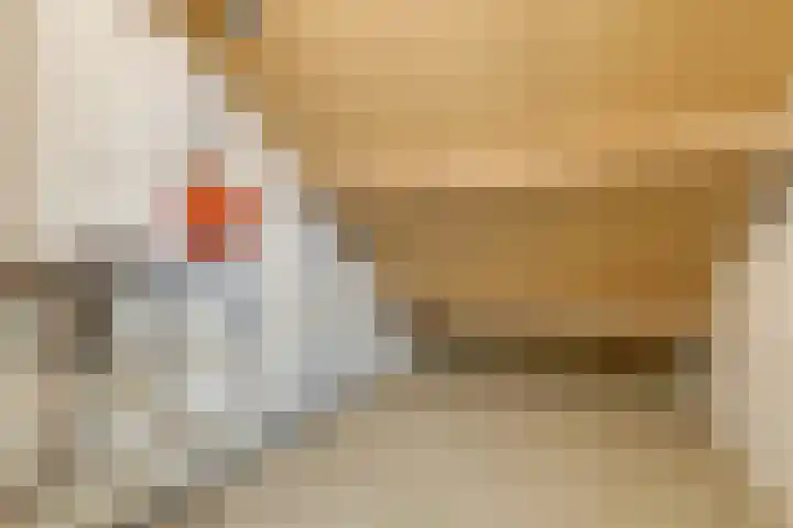 Prins Mauritsstraat 13 Zevenaar thumbnail 32