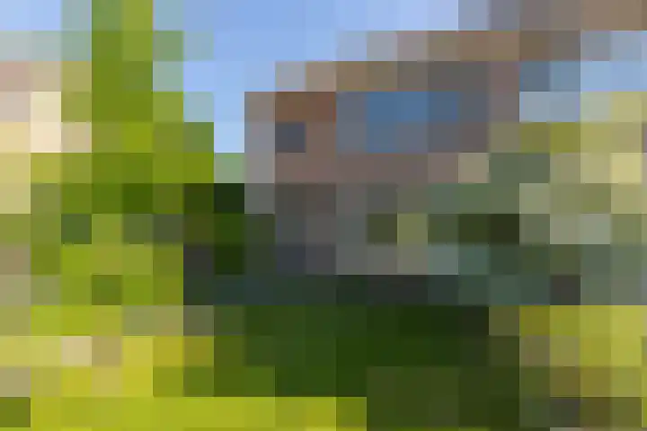 Prins Mauritsstraat 13 Zevenaar thumbnail 6
