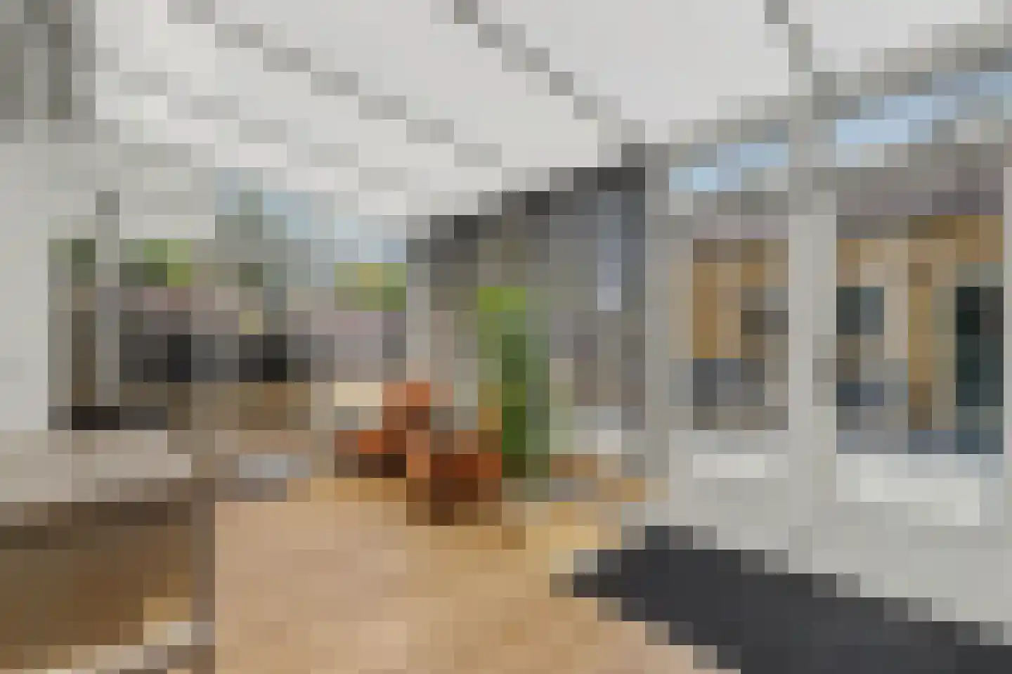 Prins Mauritsstraat 14 's-Gravenzande thumbnail 14