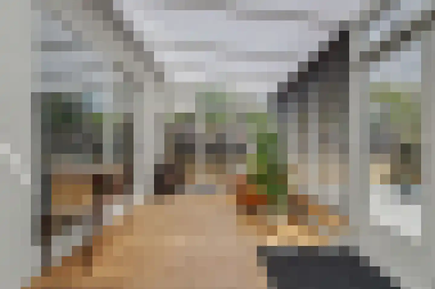 Prins Mauritsstraat 14 's-Gravenzande thumbnail 15