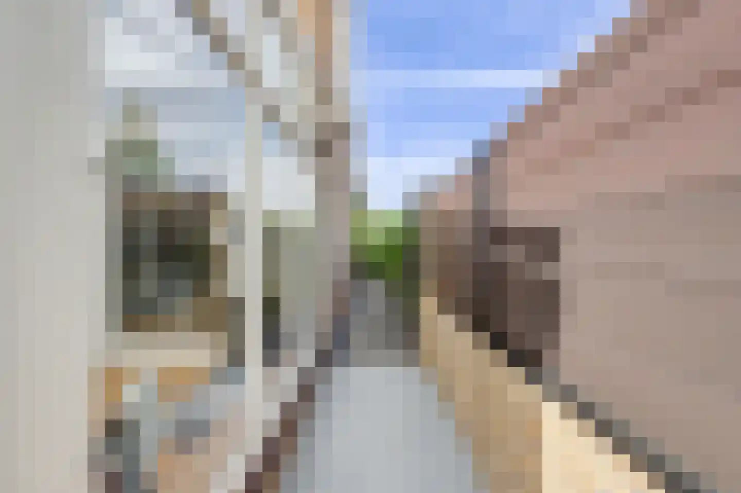 Prins Mauritsstraat 14 's-Gravenzande thumbnail 37