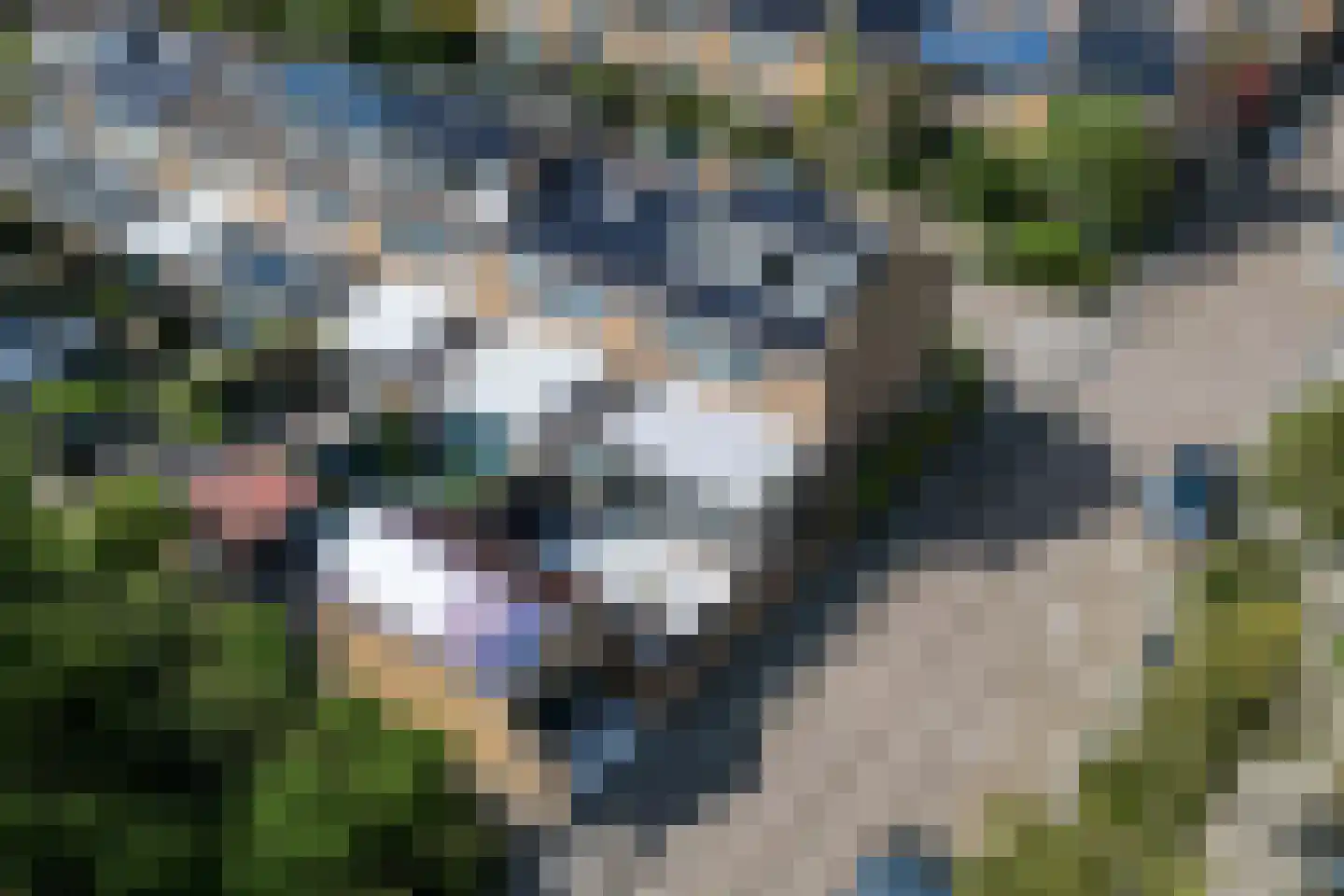 Prins Mauritsstraat 14 's-Gravenzande thumbnail 44