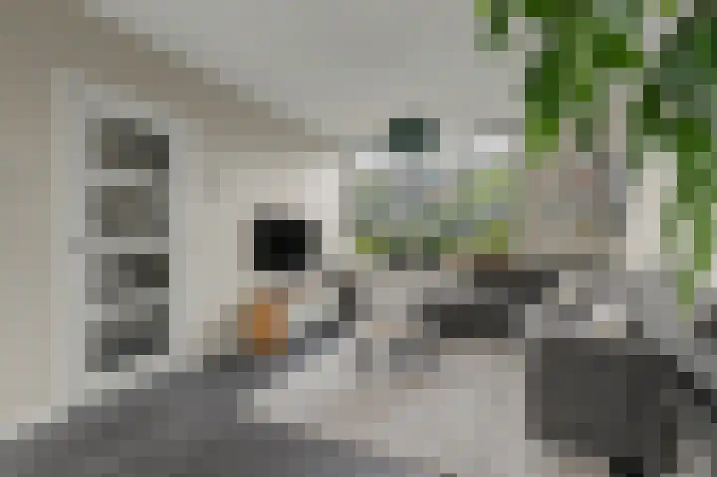 Prins Mauritsstraat 14 's-Gravenzande thumbnail 5