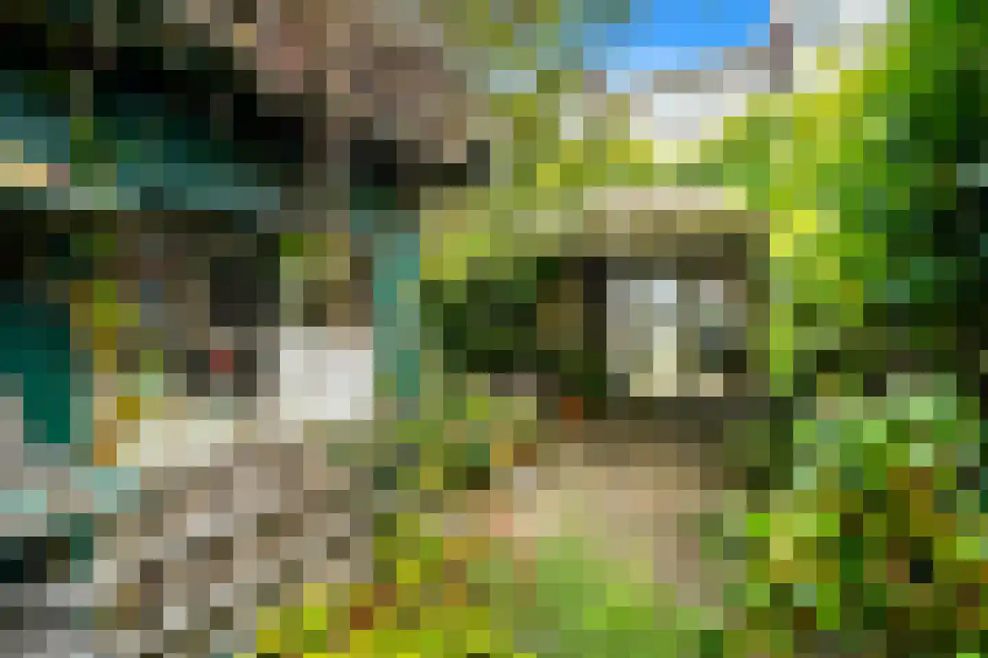 Prins Mauritsstraat 19 Delft thumbnail 16