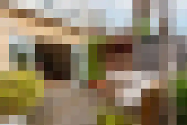 Prins Mauritsstraat 20 Castricum thumbnail 20