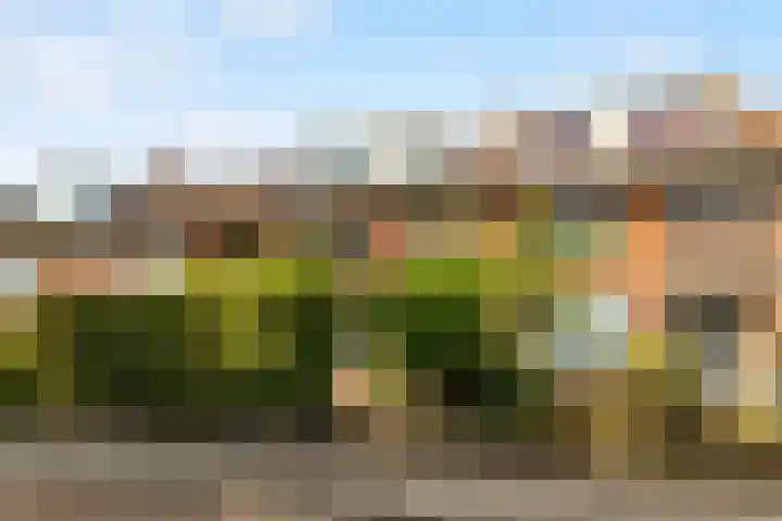 Prins Mauritsstraat 23 Castricum thumbnail 6