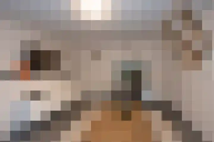 Prins Mauritsstraat 32 Rijssen thumbnail 14