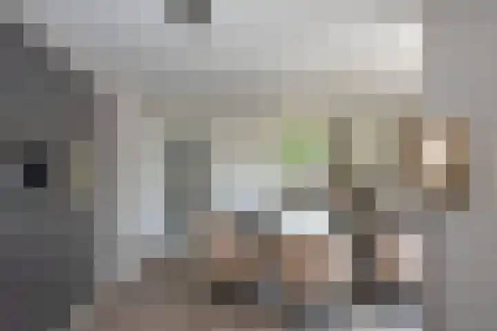 Prins Mauritsstraat 32 Rijssen thumbnail 7