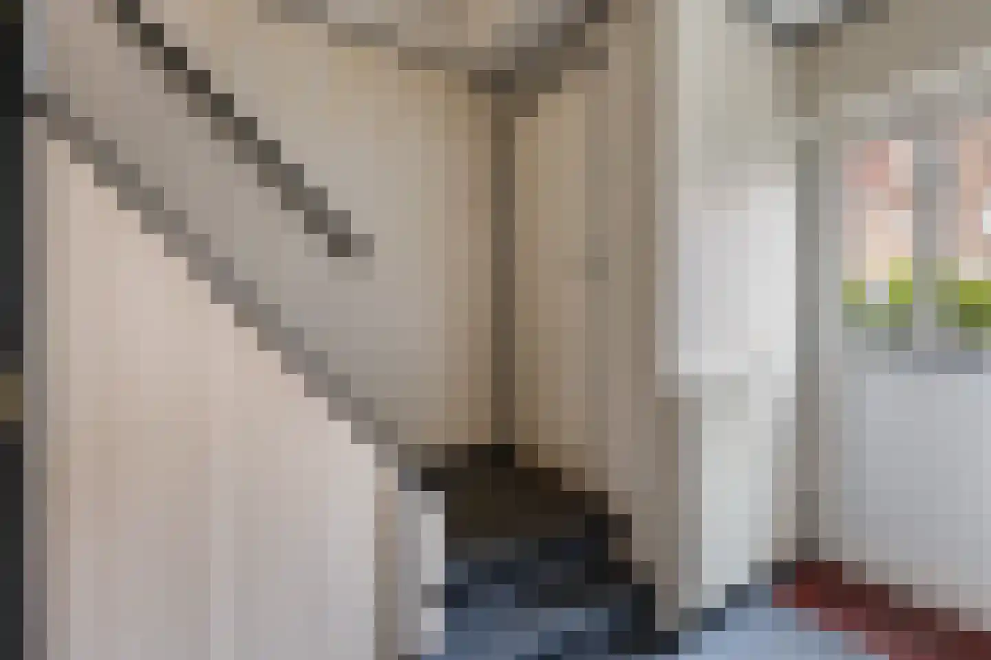 Prins Mauritsstraat 37 Zwolle thumbnail 5