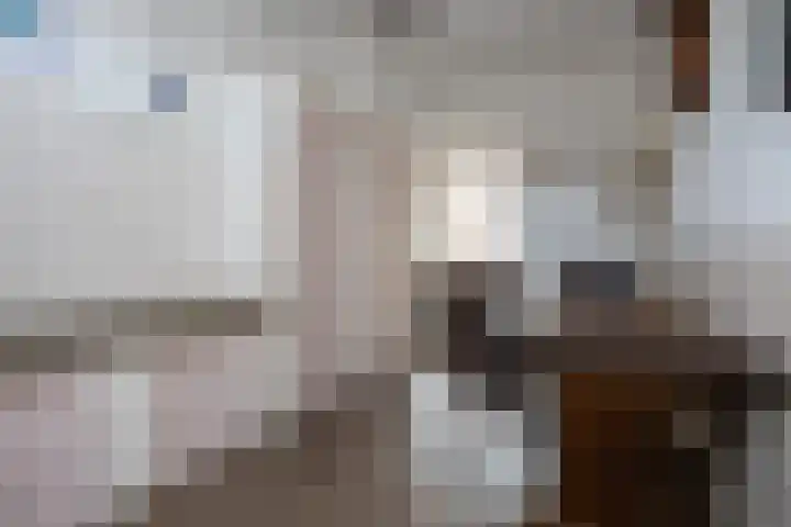 Prins Mauritsstraat 4 Bleiswijk thumbnail 10