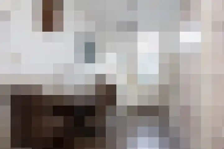 Prins Mauritsstraat 4 Bleiswijk thumbnail 12