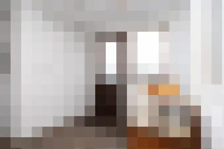 Prins Mauritsstraat 4 Bleiswijk thumbnail 4