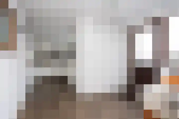 Prins Mauritsstraat 4 Bleiswijk thumbnail 6