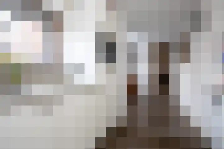 Prins Mauritsstraat 4 Bleiswijk thumbnail 9