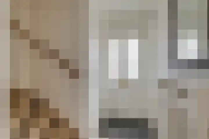 Prins Mauritsstraat 4 Maasdijk thumbnail 10