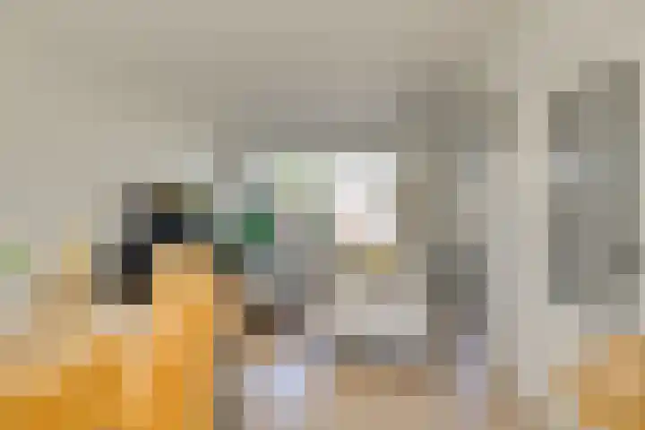 Prins Mauritsstraat 4 Maasdijk thumbnail 11
