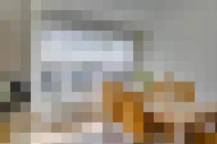 Prins Mauritsstraat 4 Maasdijk thumbnail 13
