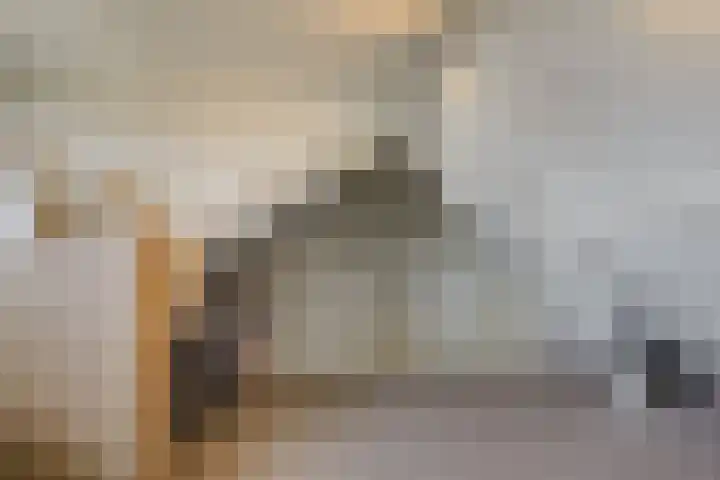 Prins Mauritsstraat 4 Maasdijk thumbnail 25