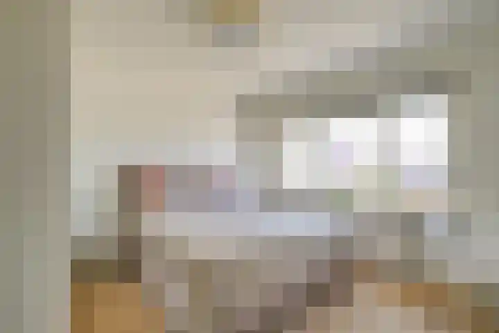 Prins Mauritsstraat 4 Maasdijk thumbnail 5