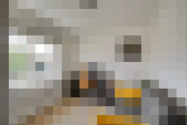 Prins Mauritsstraat 4 Maasdijk thumbnail 7