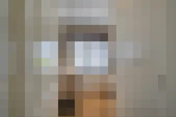 Prins Mauritsstraat 4 Maasdijk thumbnail 8