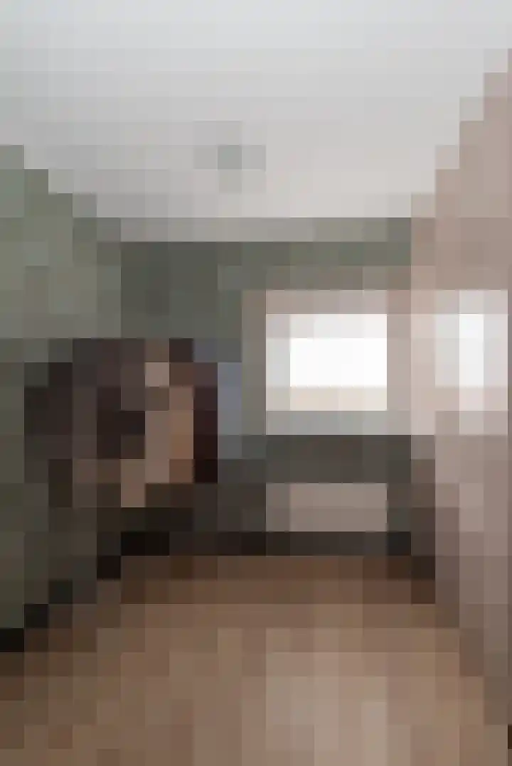 Prins Mauritsstraat 4 Rijssen thumbnail 30