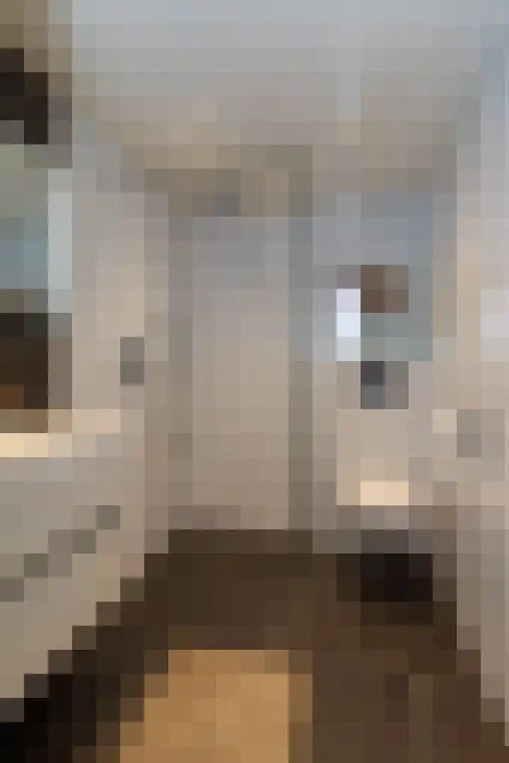 Prins Mauritsstraat 4 Rijssen thumbnail 32