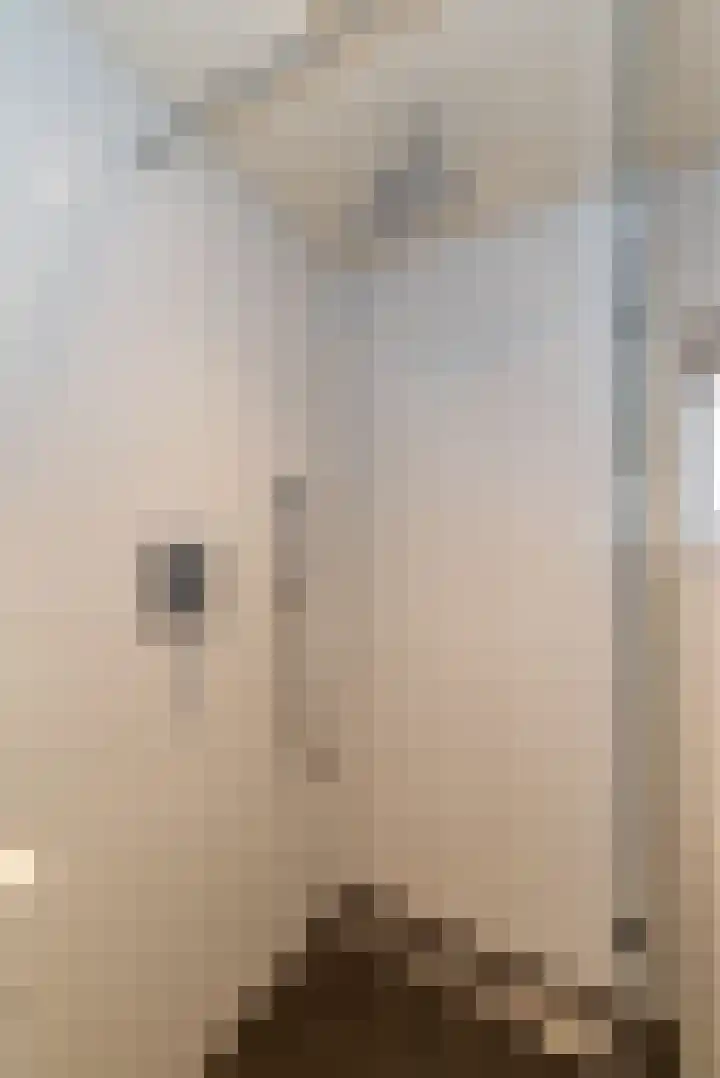 Prins Mauritsstraat 4 Rijssen thumbnail 33