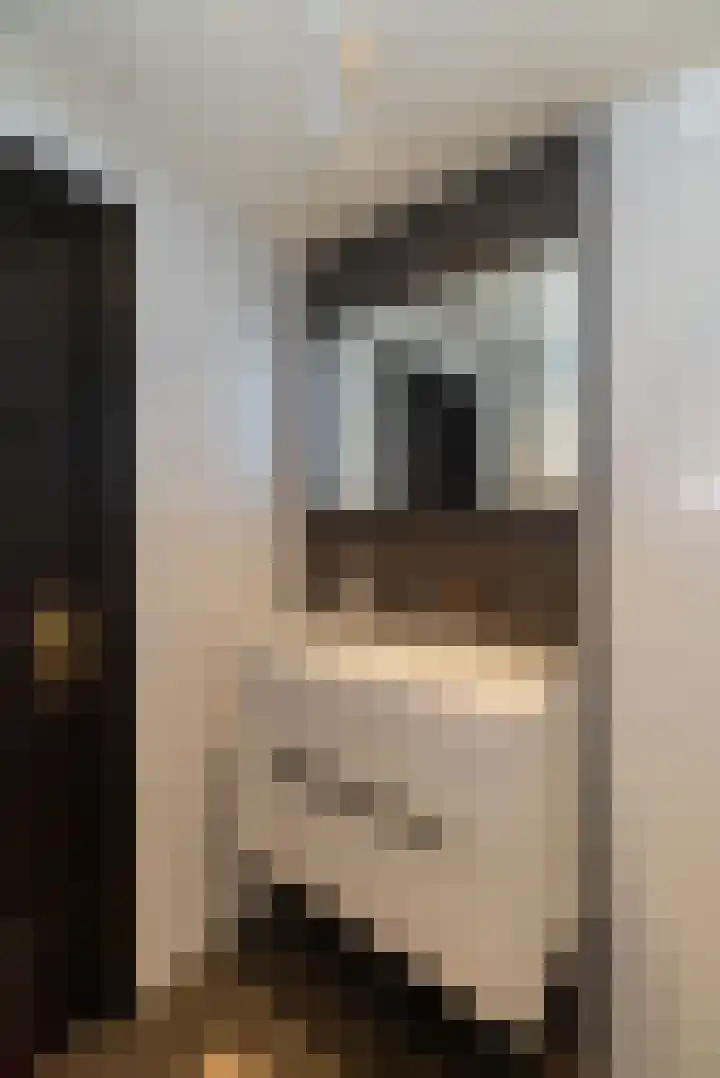 Prins Mauritsstraat 4 Rijssen thumbnail 34